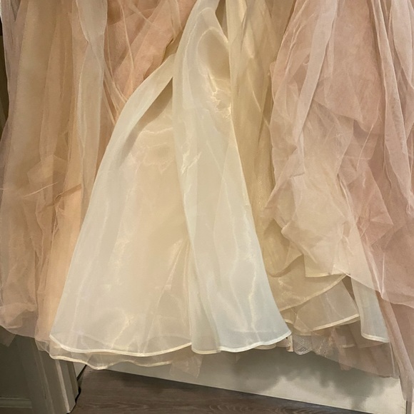 BHLDN Benson Gown, Rose/blush/cream Bridal Gown - Picture 10 of 13
